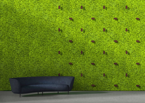 Twinkles Green Wall | Pareti mobili | Greenmood