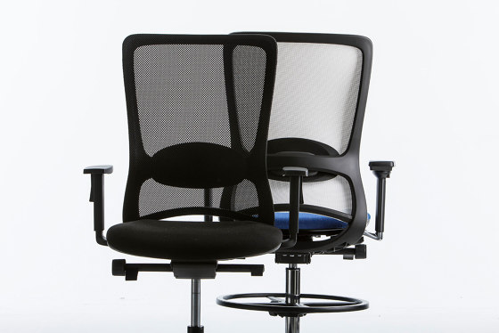 Pop | Chairs | Luxy