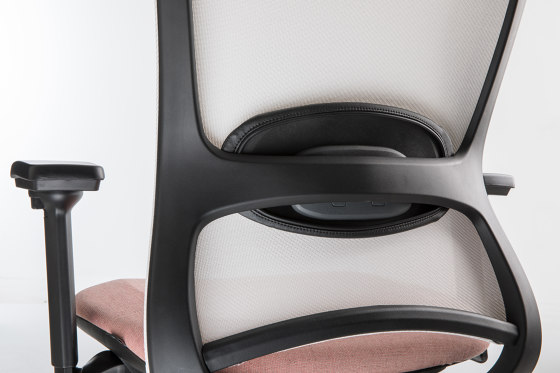 Pop | Chairs | Luxy