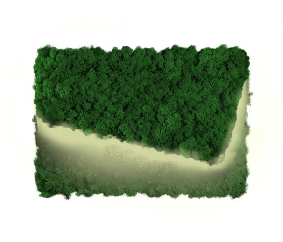 MOSSwall® Applique | Lampade parete | Verde Profilo