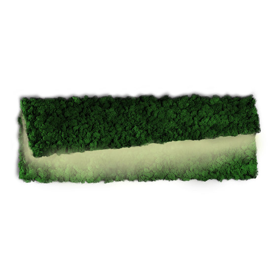 MOSSwall® Applique | Lampade parete | Verde Profilo