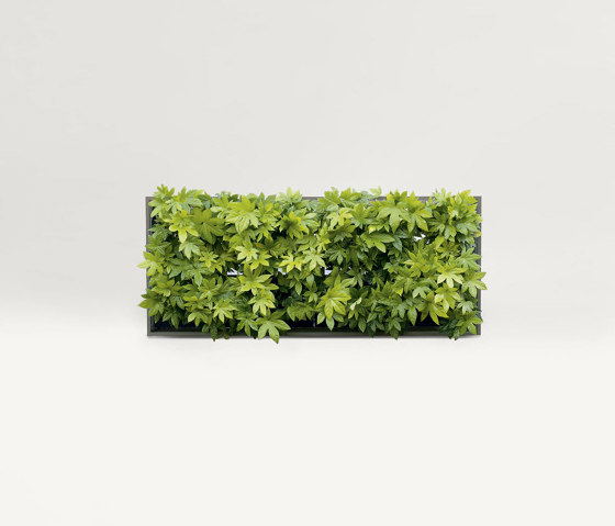 Vertical Gardens | Vertical Lawns | Fassadenbegrünung | Verde Profilo