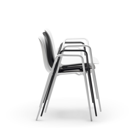 Dogo S | Sedie | CHAIRS & MORE