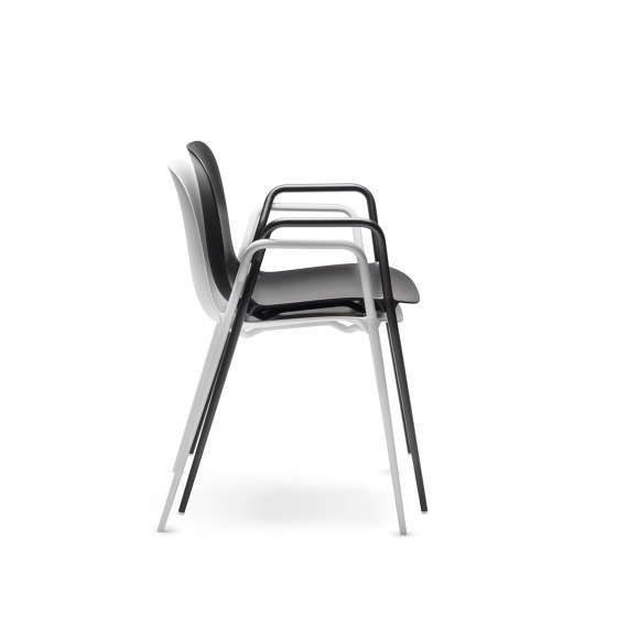 Dogo P | Stühle | CHAIRS & MORE