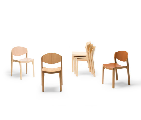 Mauro Chair | Chairs | Established&Sons