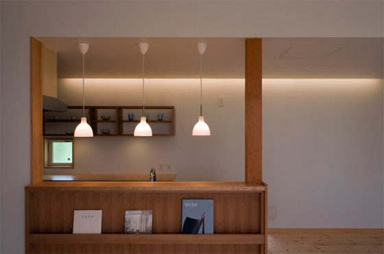 Toldbod 120 Pendant | Suspended lights | Louis Poulsen