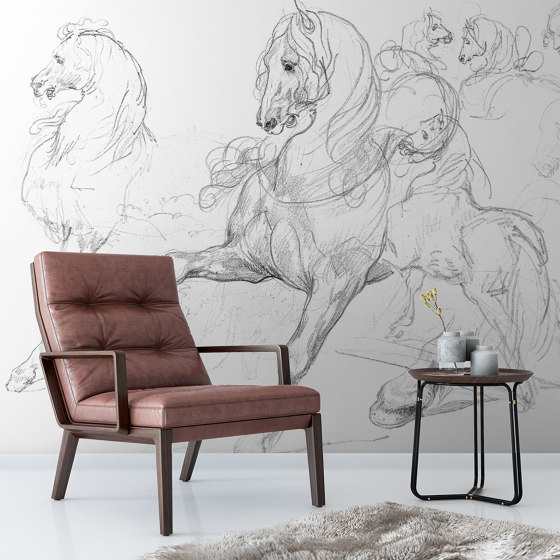 Horse Studies | Revestimientos de paredes / papeles pintados | GMM