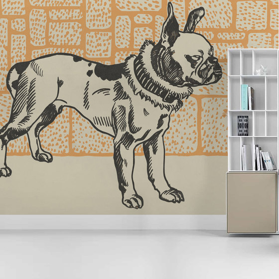 Pitbull | Wall coverings / wallpapers | GMM