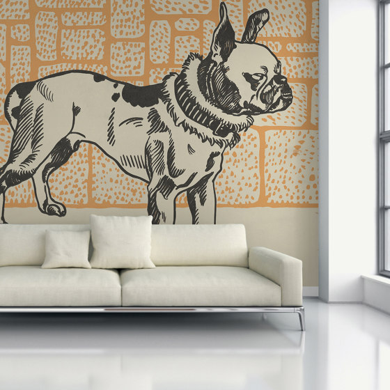 Pitbull | Wall coverings / wallpapers | GMM