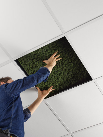 Ceiling (US Version) | Pannelli soffitto | Nordgröna