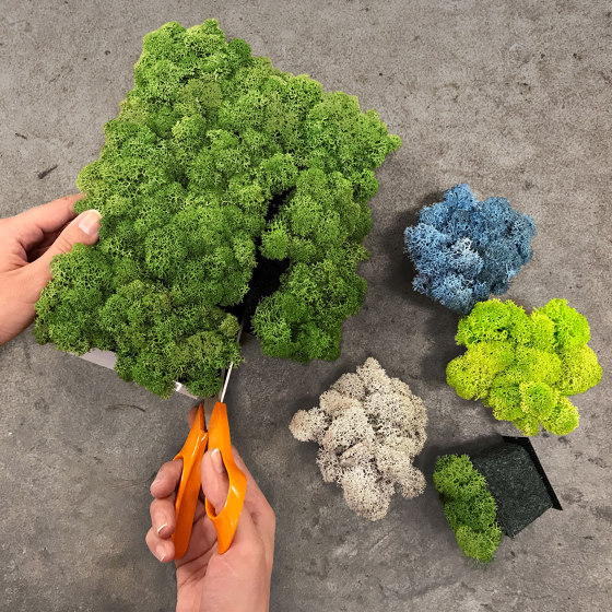Pixel | Pareti vegetali | Nordgröna