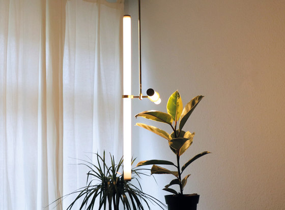 Light Object 019 - LED light, ceiling, natural brass finish | Lampade sospensione | Naama Hofman Light Objects