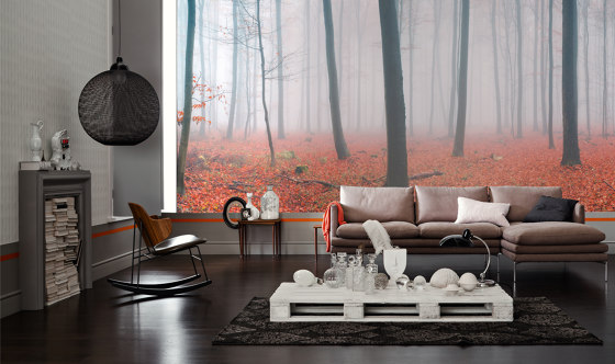 Ap Digital 3 | Tapete | Digitaldruck 471836 Fog In Forest | Wandbeläge / Tapeten | Architects Paper