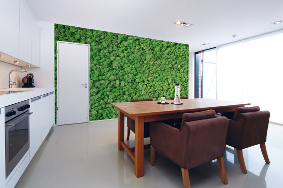 Ap Digital 4 | Papel Pintado DD108835 Real Moss | Revestimientos de paredes / papeles pintados | Architects Paper