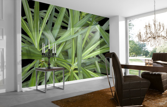 Ap Digital 4 | Papel Pintado DD109150 Jungle Plant 1 | Revestimientos de paredes / papeles pintados | Architects Paper