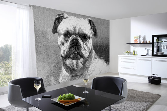 Ap Digital 4 | Wallpaper DD108930 Bulldog | Wall coverings / wallpapers | Architects Paper