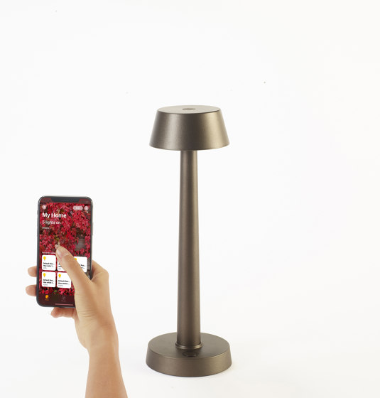 Will o' wisp portable table lamp | Lámparas de sobremesa | Promemoria