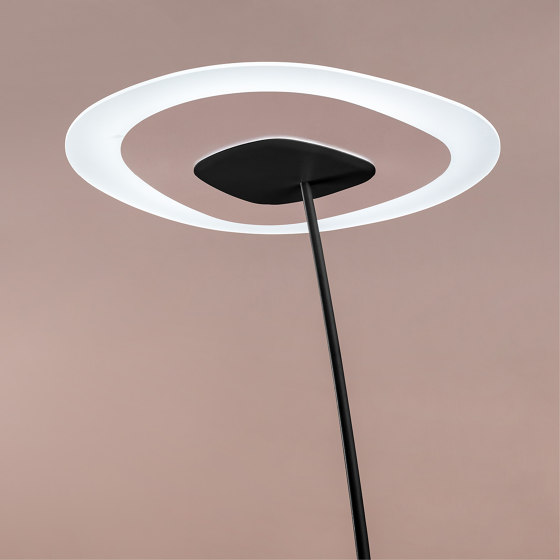 Antigua_FL | Free-standing lights | Linea Light Group