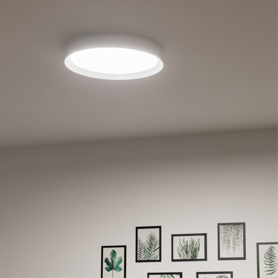 Tara_Maxi | Deckenleuchten | Linea Light Group