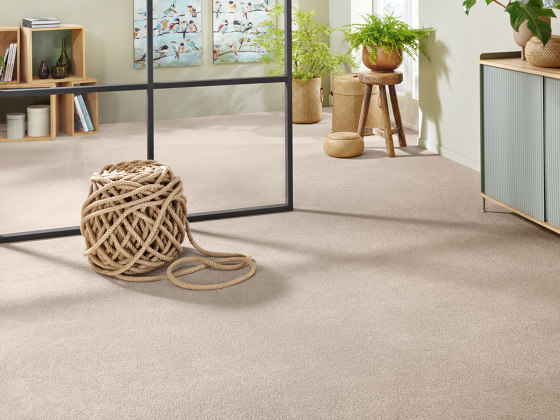 Superior 1065 - 6C72 | Wall-to-wall carpets | Vorwerk
