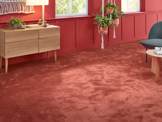 Superior 1067 - 8K09 | Wall-to-wall carpets | Vorwerk