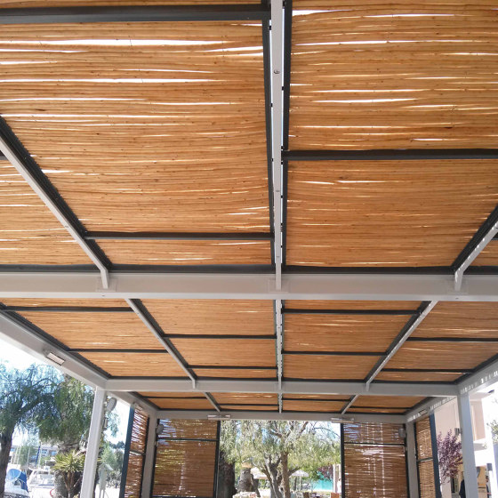 Natural and peeled willow | Willow peeled 18-26mm | Roofing systems | Caneplexus