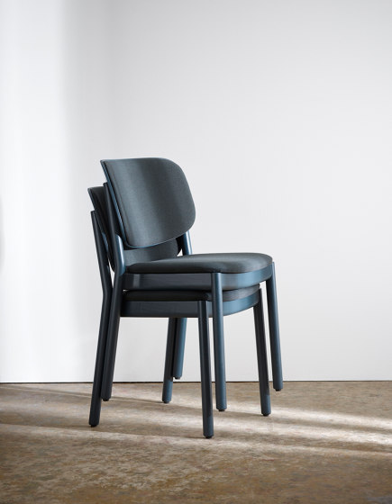 Anima Chair | Sillas | Stolab
