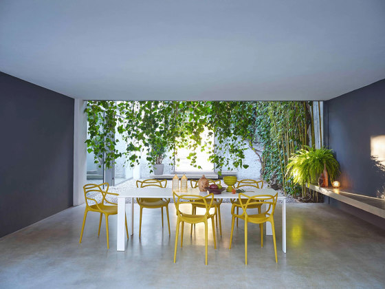 Masters (2 Sillas) Verde Salvia | Sillas | Kartell