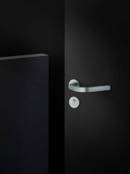 FSB 79 1155 the multifunctional lever handle | Juego picaportes | FSB