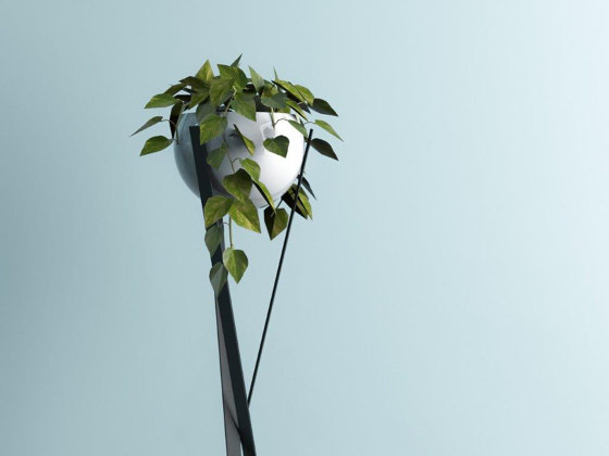 Globe | Carrè | Vasi piante | Bloss