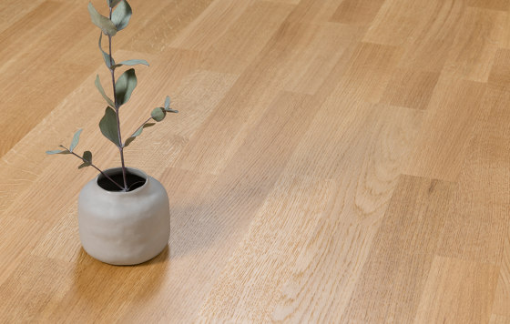 Parquet Matt Lacquer | Sansego, Oak | Wood flooring | Bjelin