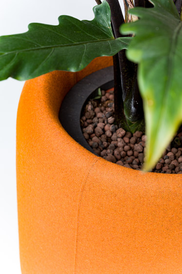 BuzziPlanter | Plant pots | BuzziSpace