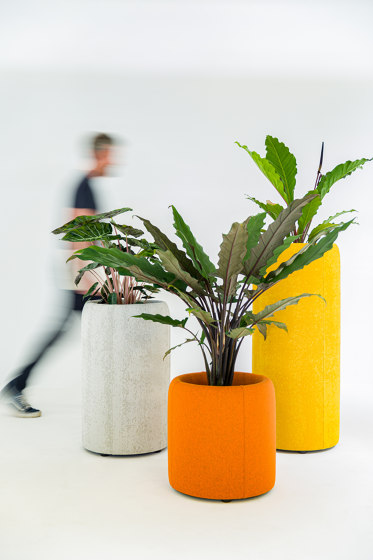 BuzziPlanter | Vasi piante | BuzziSpace