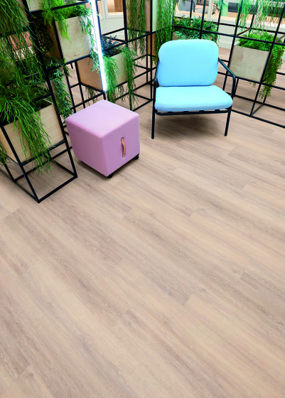 Spacia Woods - 0,55 mm | Bleached Elm | Synthetic panels | Amtico