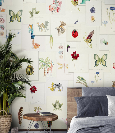 Pictionary | Wall coverings / wallpapers | WallPepper/ Group
