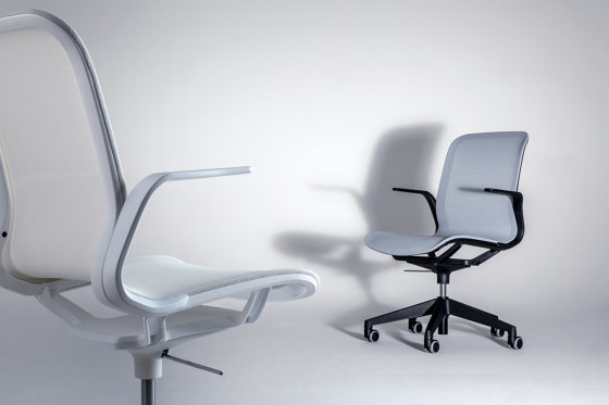 SmartLight | Chairs | Luxy