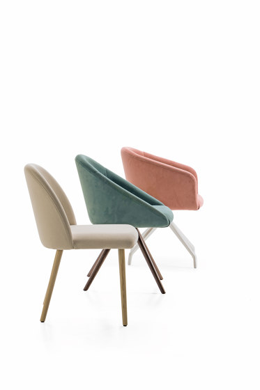 Bloom | Chairs | Luxy