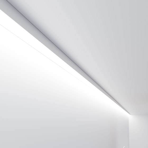 Purelite Slim D | Lámparas de techo | Regent Lighting