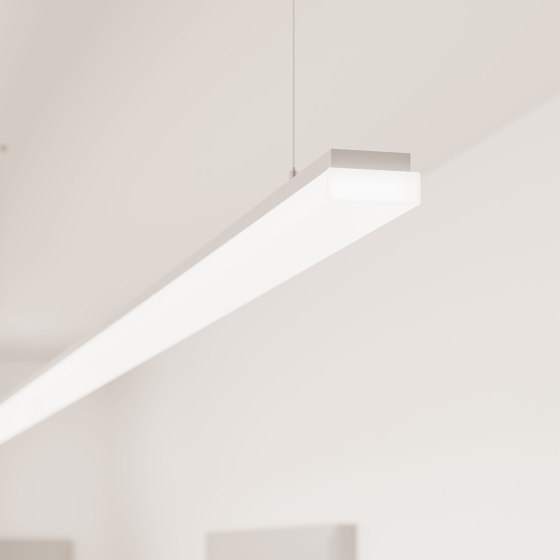 Purelite Slim D | Suspended lights | Regent Lighting
