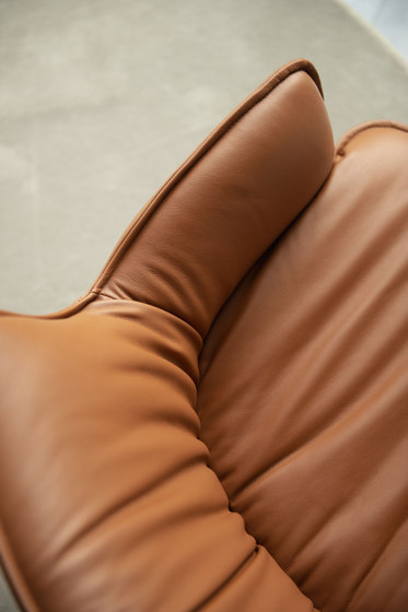 Rhonda Cantilever | Chairs | Cattelan Italia