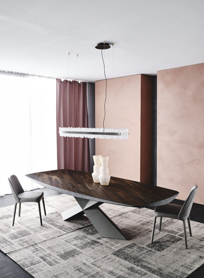 Tyron Wood | Dining tables | Cattelan Italia