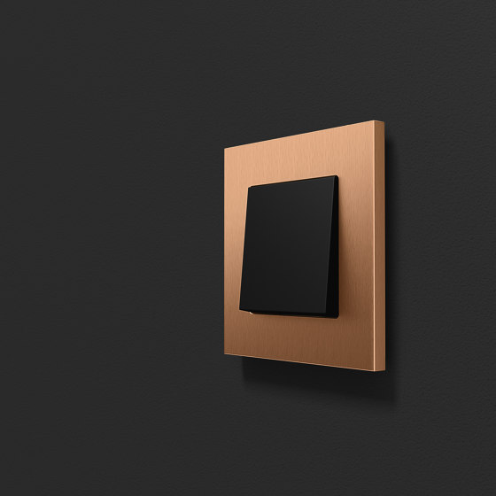 Esprit Linoleum-Plywood | Switch Light grey by Gira