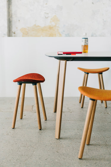Coma Wood stool | Sgabelli | ENEA