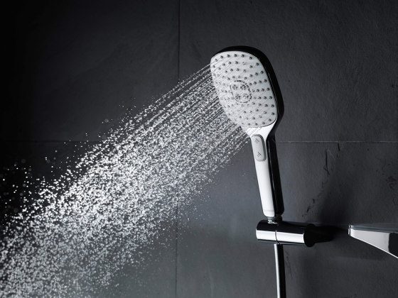 HANSAACTIVEJET | Hand shower | Shower controls | HANSA Armaturen