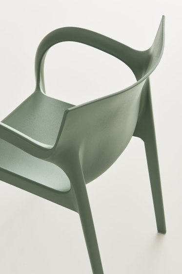 Poppy Star | Chairs | Segis