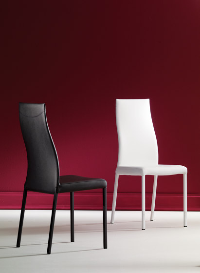 Blitz Plus | Chairs | OZZIO ITALIA