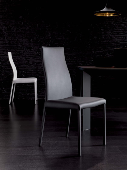 Blitz Plus | Chairs | OZZIO ITALIA