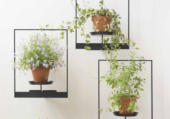 TEEpots Floating Plant Shelf | Flower displays | Teebooks