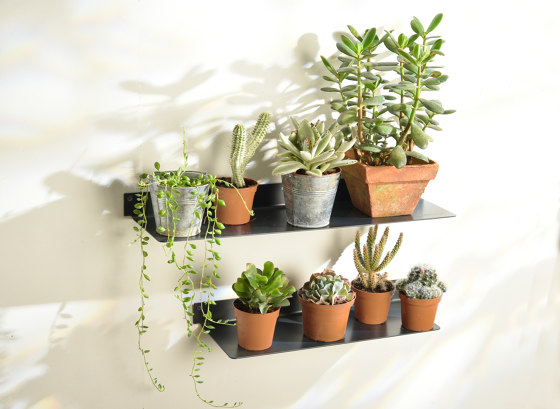 TEEpots Plant Stand Room Divider | Flower displays | Teebooks