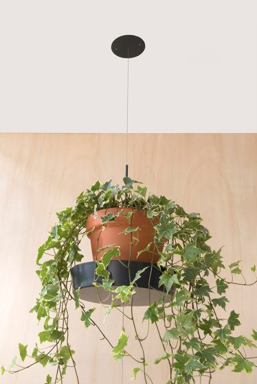 TEEpots étagère murale pour plantes | Présentoirs à fleurs | Teebooks
